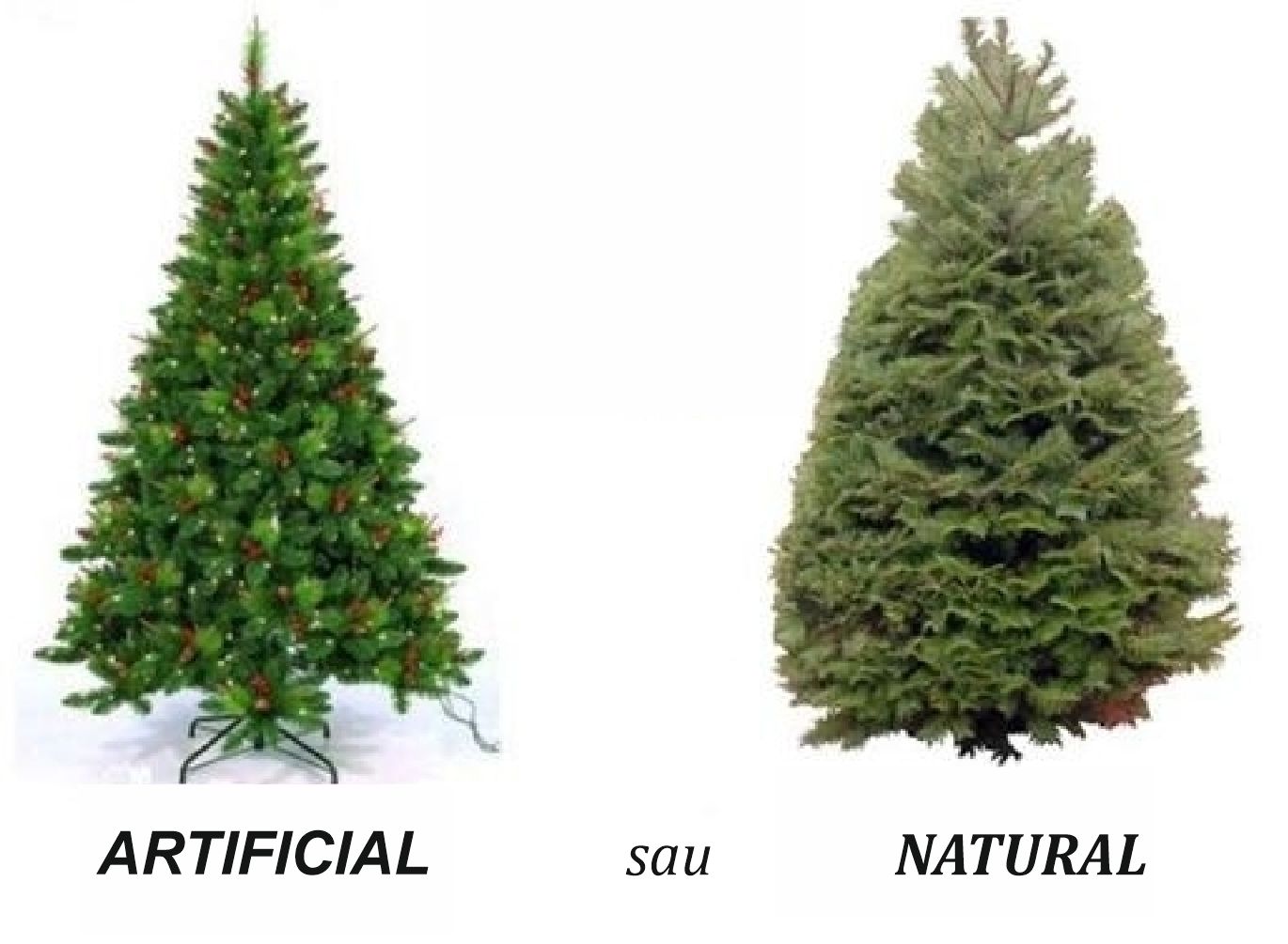 Brad natural vs. brad artificial: Pro și contra