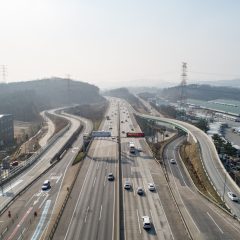 Reorganizarea RNP Romsilva, în dezbatere publică: transparență, eficiență și protecția pădurilor